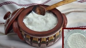 Българското кисело мляко